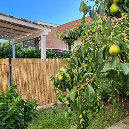 Civiconove Lägenhet Piombino Exteriör bild