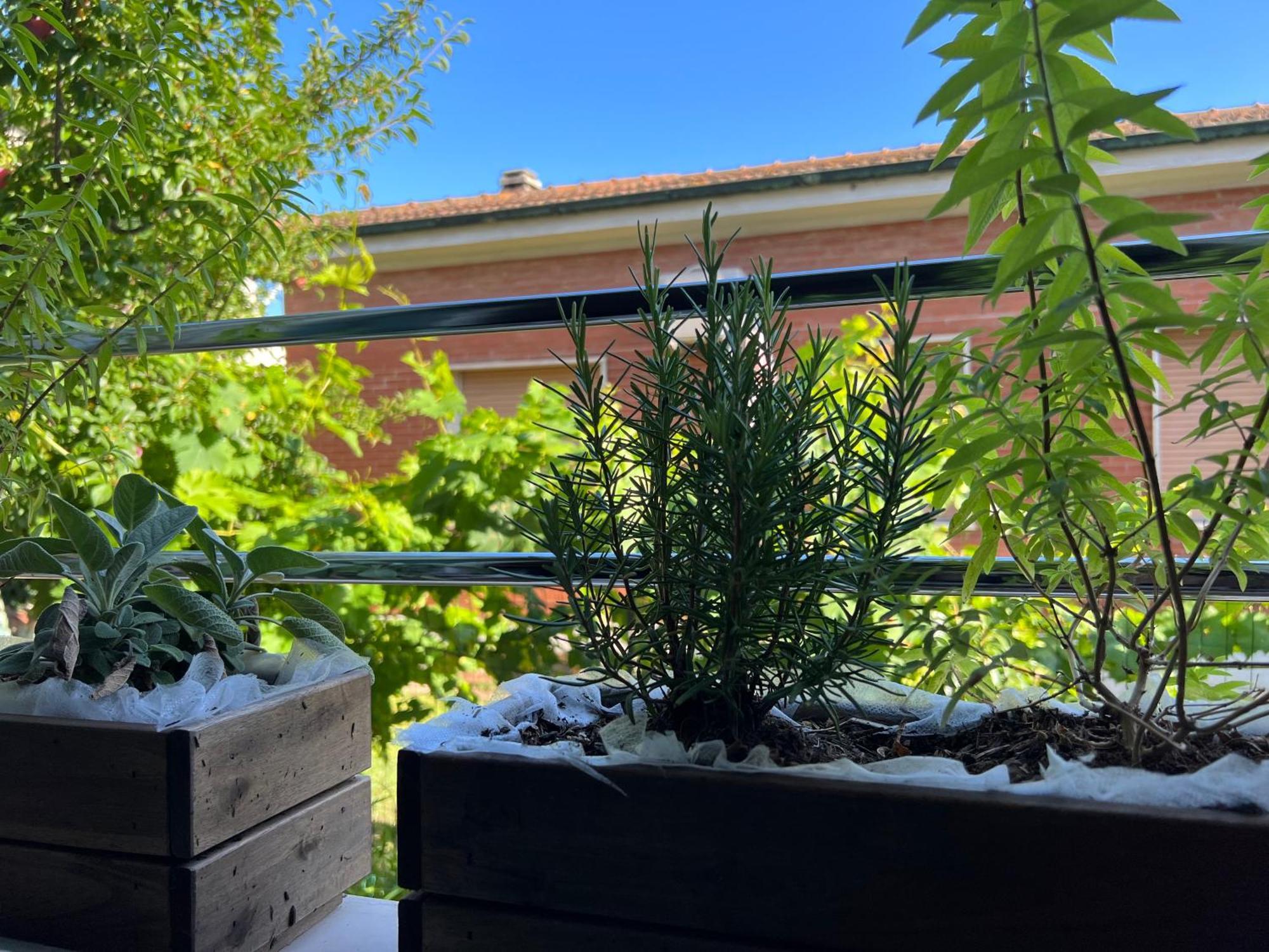 Civiconove Lägenhet Piombino Exteriör bild