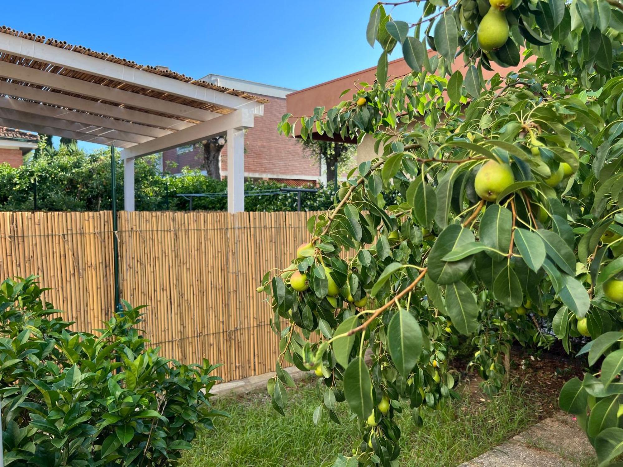 Civiconove Lägenhet Piombino Exteriör bild